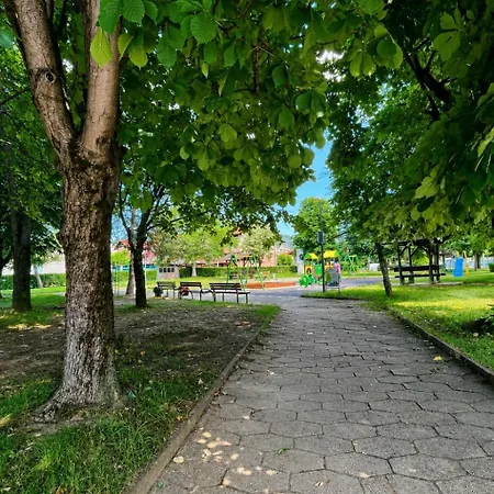 Апартамент Mountain View *